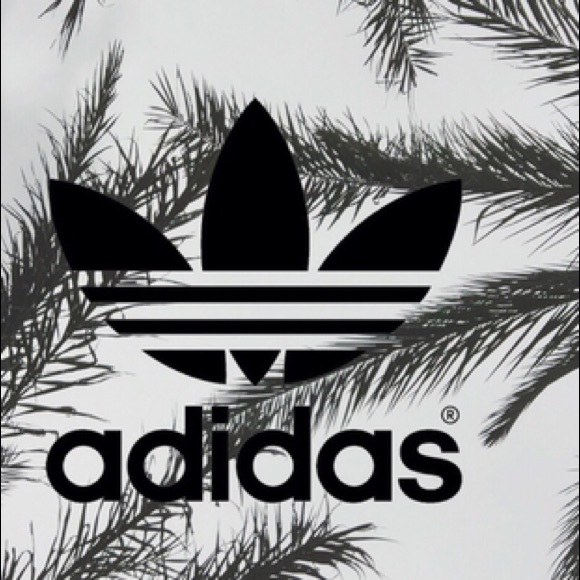 Meet your Posher, Ellie - Picture 1 of 1